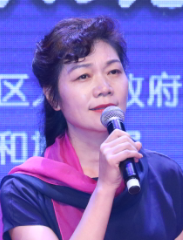 《悼念一棵枫树》