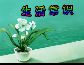 生活常识五
