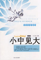 小中见大