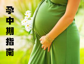 孕中期指南
