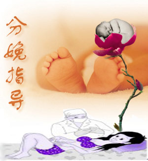 分娩指导